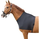 Harry's Horse 32208005-l Brustdecke Lycra, L