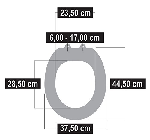 Cornat WC-Sitz Aneto, Edelstahlscharniere, Absenkautomatik, Abnehmbar, Duroplast, 1 Stück, weiß, KSANSCOH00 - 9
