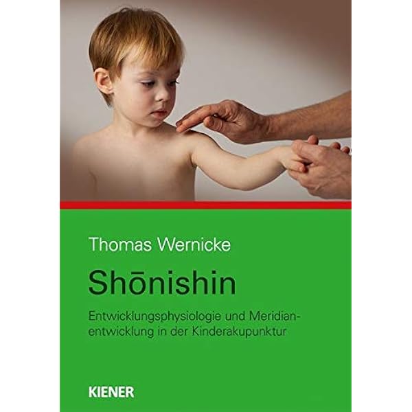 Shonishin Neurophysiologie Und Meridianentwicklung In Der Kinderakupunktur Amazon De Wernicke Thomas Bucher