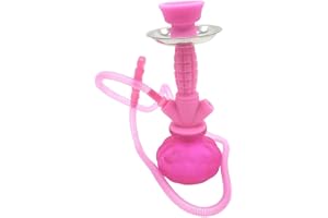 Horus Artesanía de Egipto SHISHA NARGUILE vattenpipa 27 cm vattenpipa, rostfri och tvättbar mast för användning var som helst, nikotinfri