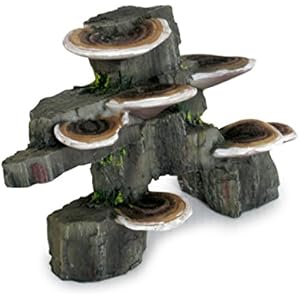 Lucky Reptile DW-MT Deco Wood Mushroom Trunk