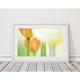 Fotodruck Fine Art Print 