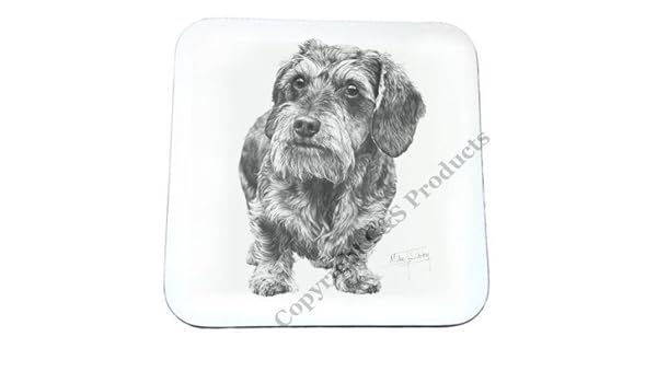 Mike Sibley Wire Haired Dachshund Beverage Coaster Amazon Co Uk