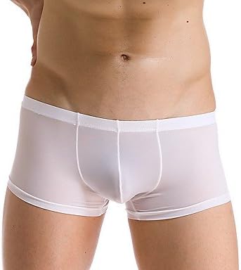 TT&amp;NEIYI Men's Sexy Solid Boxers Underwear,Ice Silk , camel , m