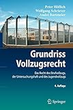 Image de Grundriss Vollzugsrecht: Das Recht des Strafvollzugs, der Untersuchungshaft und des Jugendvollzugs (