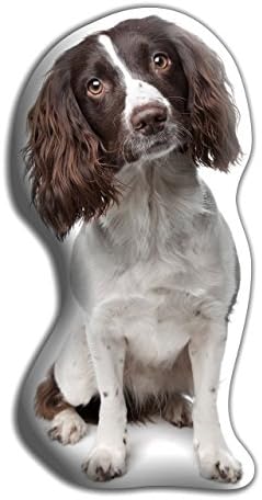 Springer Spaniel (Liver) Dog Gift – Beautiful Large Cuddle Cushion – Luxurious strokable shaped cushions, approximate size: H460mm x W400mm (18" x 16“)