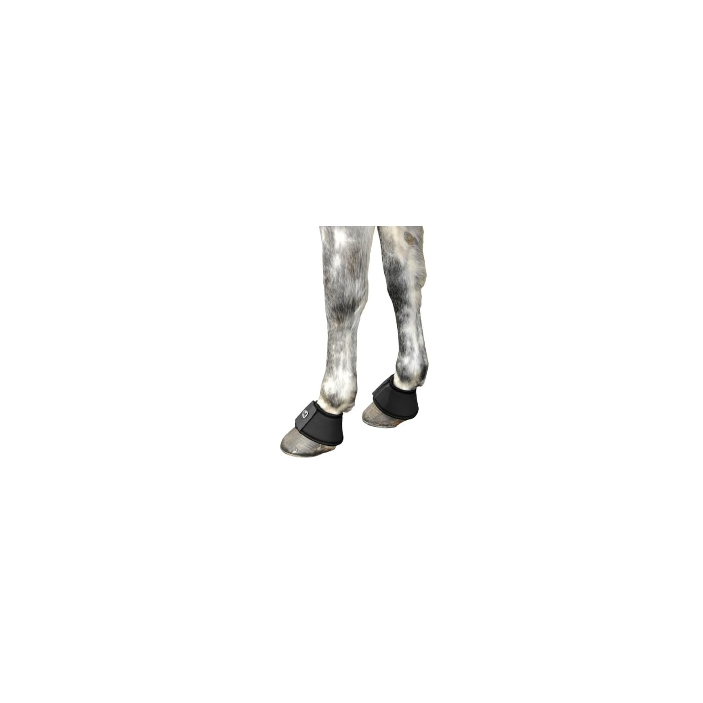Horse ‘n’ Pony