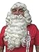 Price comparison product image PROFESSIONAL FATHER CHRISTMAS WIG AND BEARD SET