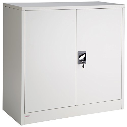 TecTake Armario archivador de Oficina metálico con 2 Puertas bloqueable