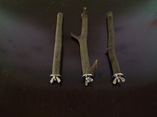 The Beech Wood Man's _ 76: 3 Perches and Ash with Bark; available in different lengths 10 cm to 50 cm.