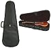 Produktbild LANIKAI Koffer Für Tenor-ukulele