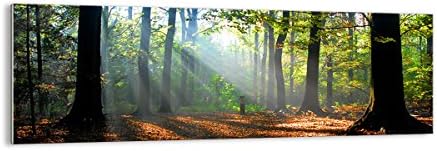 ARTTOR Glass Wall Art Picture Photo Forest Trees Nature Rays Of The Sun 90x30cm Art Glass Prints Art prints Artwork Modern Glass Pictures for Home Decorations Living Room Bedroom GAB90x30-0136