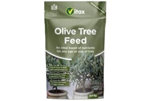 WOLVERCROFT GARDEN CENTRE Vitax Olive Tree Feed Pouch (0.9kg) X 4