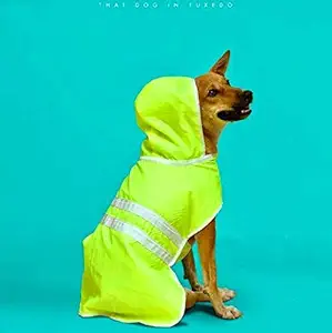 That Dog In Tuxedo Pawddington Dog Raincoat with Hoodie - Neon Green (Size - 26)