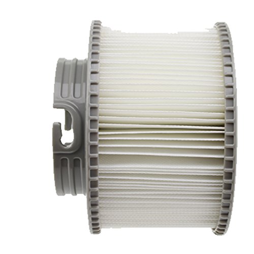 First4Spares Ersatz MSpa Filter Kartusche Doppelpack - 2