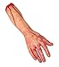 Produktbild Blutiger Horror-Arm