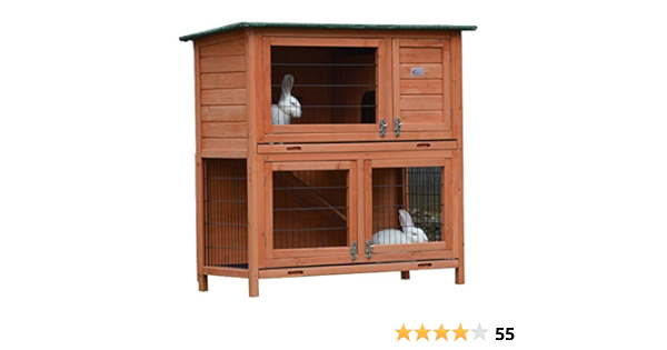 rabbit runs amazon