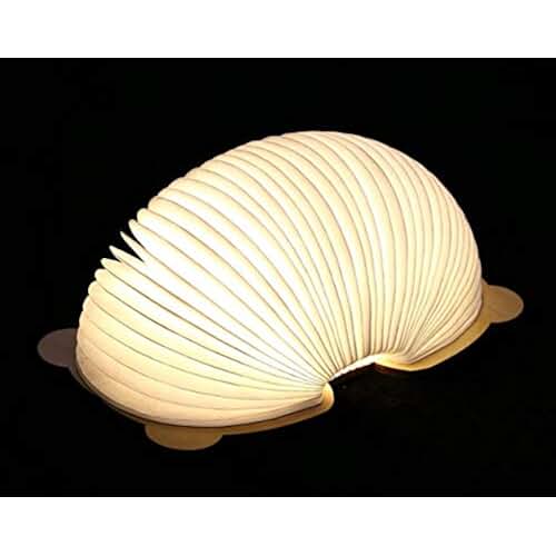 Suchergebnis auf Amazon.de für: nachttischlampe - Leuchtmittel: Beleuchtung