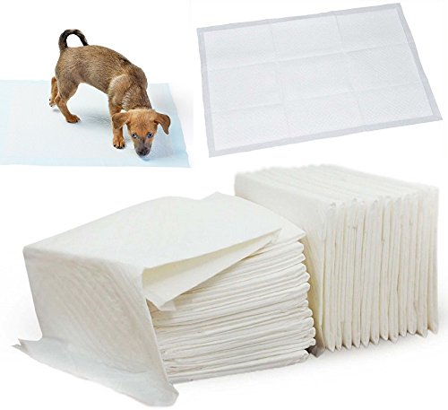 DOG-PUPPY-LARGE-TRAINING-TRAINER-PADS-TOILET-WEE-60-X-40CM-OUTDOOR-TRAIN-DOG
