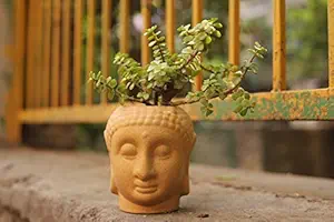 Lyallpur Stores Buddha Ceramic Planter - Medium (Brown Color, 12 cm) Plant Not Included
