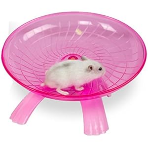 bureze Hamster Maus Running Disc Flying Untertasse Laufrad