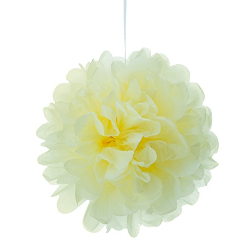 ZeWoo Set von 16 Stück Seidenpapier PomPons für Hochzeit Party Papierblumen Deko, 8″, 10″ - 3