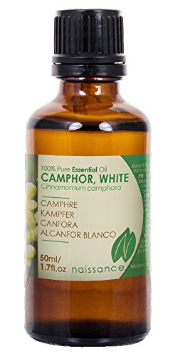 Kampfer – 100% naturreines ätherisches Öl – 50ml
