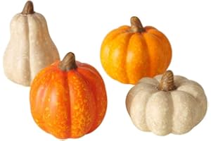 RiloStore 4er Set Kürbis Terrakotta orange Weiss 6x5cm Herbstdeko Kürbisse Geschenkset Tischdeko Herbstschmuck b479 Aufsteller Dekokürbis Herbst Dekoration