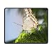 Produktbild Nature Art Mousepad Unique Custom Rectangle Mouse Pad Funny Cute Gaming Butterfly and Insect Decor Mat Collecting Nectar Model-26