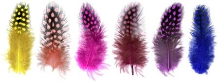 Preisvergleich Produktbild Perlhuhnfedern