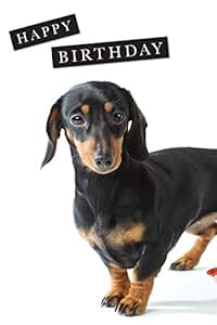 Biglietto Di Auguri Con Bassotto, Compleanno Artistico 145x145mm, Carta Riciclata 350g/m² Con Busta, Eco-Friendly - 2