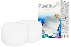 NETSPA - JL-P14106 - Cartouches de Filtration PureFlow pour Spa NetSpa (Lot de 2)