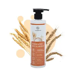 Careberry Fermented Rice Water & Wheat Volumizing Conditioner, For Thin & Brittle Hair, Ayush Certified Ayurvedic, Sulphate & Paraben Free, Gluten & GMO Free, PH Balanced, 300ml