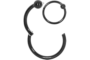 365 SLEEPERS 20G 18G 16G 14G Titanio 6 mm - 10 mm BCR Cierre de bola Septum Segmento con bisagras Nariz Labio Anillo Aro Pendientes unisex Joyería para piercing corporal