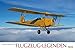 Flugzeug-Legenden 2015: PhotoArt Panorama Kalender by 