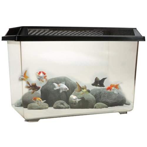 Small Fish Tanks Amazon.co.uk