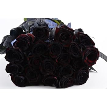 express blumenversand