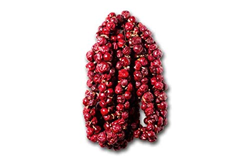 Preisvergleich Produktbild Kirschpaprikakranz, Cseresznyepaprika füzér erös / Gross scharf ca. 1m