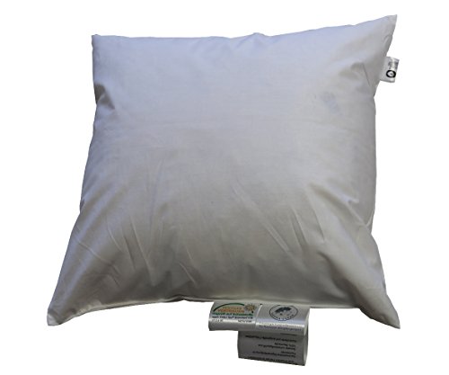 Betten Hofmann Kleinkissen 45x45 cm, 300 g Kuschelkissen Sofakissen