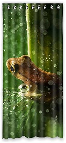 Custom Frog Window Curtain Window Curtain Light Proof Polyester Brand For Bedroom Or Living Room 127 Zentimeters x 275 Zentimeters (1-Pack), polyurethane, E, 50(inches)x108(inches)