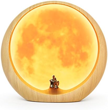 mamre Moon Ambient Light DIY Anniversary Wedding Valentines Gift Ideas Art Decor Mood Lamp.