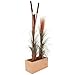 Produktbild Euro Palms 82505856 Schilfgras mit Kolben 152 cm, Hellbraun