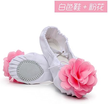 Children dance shoes soft soled ballet shoes shoes children shoes two female cat claw training shoes practicing yoga shoes,Forty-one,White cloth of pink flowers
