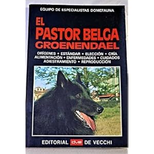 El Pastor Belga Groenendael