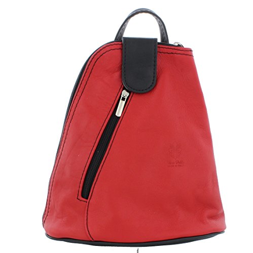 Small Leather Backpack/Rucksack/Shoulder Handbag in a choice of colours (F264S) (Red/Black)