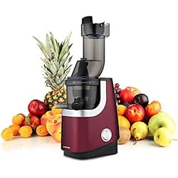 EZIchef Vitamin XL Smoothie - Extracteur de jus vertical avec filtre à smoothies - 45 tours / minute