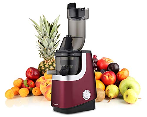 EZIchef Vitamin XL Smoothie - Extracteur de jus vertical avec filtre à smoothies - 45 tours / minute