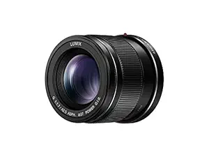 Panasonic Lumix H-HS043K G 42.5mm/F1.7 Lens (Black)