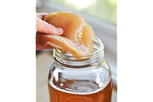 KOMBUCHAORGANIC Organic Kombucha Scoby - Live Culture by Dpnamron