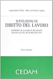 Istituzioni di diritto del lavoro. Rapporti di lavoro e relazioni sindacali nel settore privato